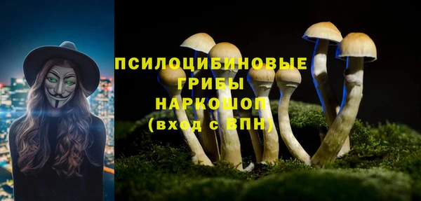 наркотики Горно-Алтайск