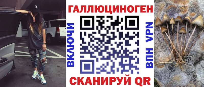 Галлюциногенные грибы GOLDEN TEACHER  Купить где  Ленинск 